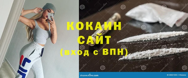 гашик Арсеньев