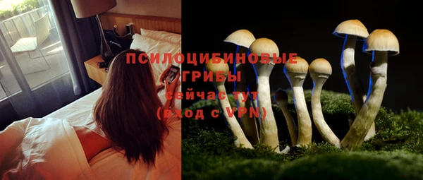дживик Аркадак