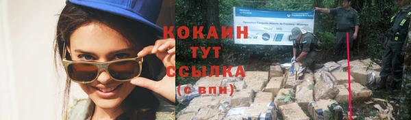 дживик Аркадак