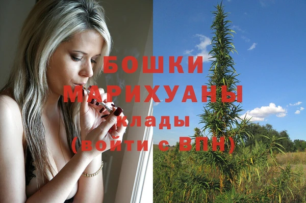 дживик Аркадак