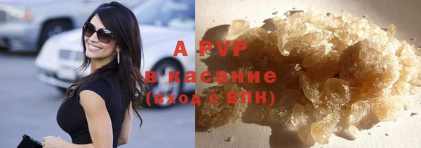 гашик Арсеньев