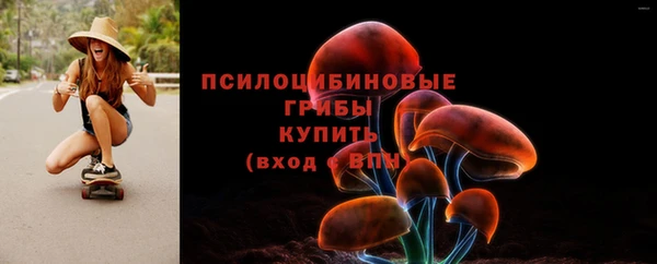 гашик Арсеньев