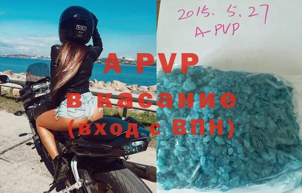 гашик Арсеньев